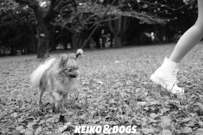 1 pic. 藤里さんと景子さんの写真展「KEIKO & DOGS」
に行ってきました♬
珈琲の香りとモノクロの優しい世界に腰を落とすと何とも言えない優しい気持ちになりました♬
そしてお洒落なお店でまた素敵

いつのまにやら藤里先生に撮られてたw

11月7日〜22日