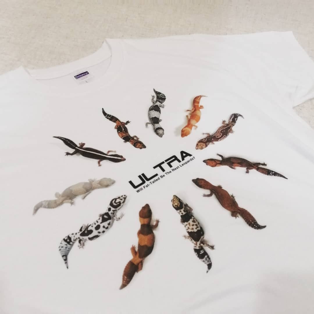 udesign_print's tweet photo. 【6倍速】ULTRA様オリジナルTシャツ完成
#爬虫類 #レオパ #レオパードゲッコー
#ニシアフリカトカゲモドキ #ヒョウモントカゲモドキ
#オリジナルtシャツ #ユーデザイン
#gecko #leopardgecko #fattail #leptiles https://t.co/88B4690qeJ
