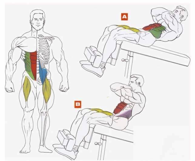 Пресс с гантелями для мужчин. Скручивания на наклонной скамье техника. Пресс на наклонной скамье техника. Упражнения для мышц пресса. Упражнения для накачки пресса.