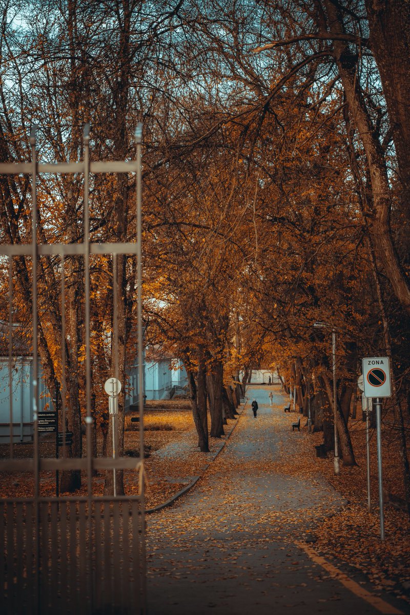 RisuProductions's tweet photo. Autumn is just so beautiful!
#streetphotography #sonyalpha #bealpha #tamron #nature #naturephotography #sonya7iii #vilnius #lithuania #autumnvibes🍁 #autumn #autumnphotography #risuadventures
#urbanphotography #sonyworldclub #sonyimages #sonyusers #写真好きな人と繋がりたい https://t.co/N9O8Uh3RXE
