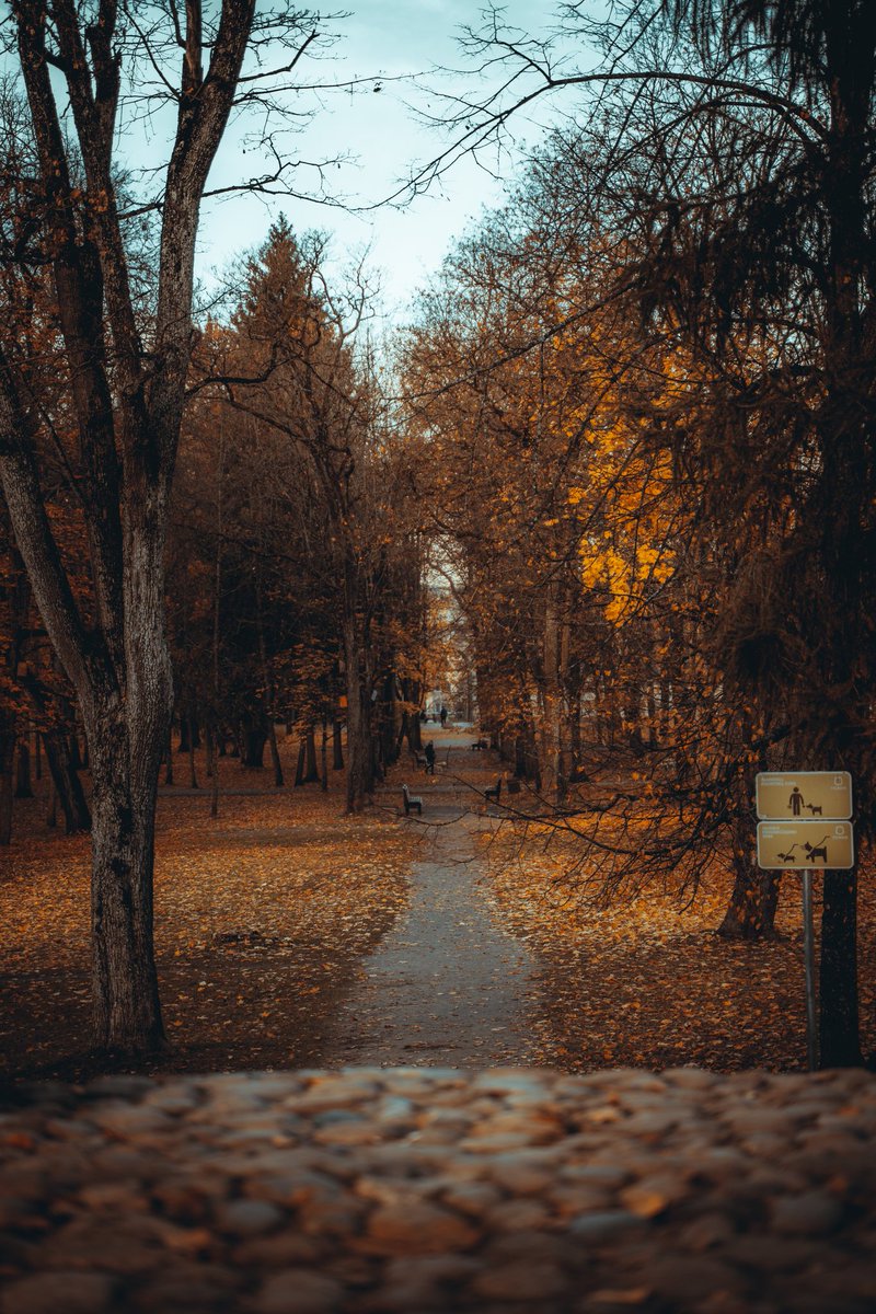 RisuProductions's tweet photo. Autumn is just so beautiful!
#streetphotography #sonyalpha #bealpha #tamron #nature #naturephotography #sonya7iii #vilnius #lithuania #autumnvibes🍁 #autumn #autumnphotography #risuadventures
#urbanphotography #sonyworldclub #sonyimages #sonyusers #写真好きな人と繋がりたい https://t.co/N9O8Uh3RXE