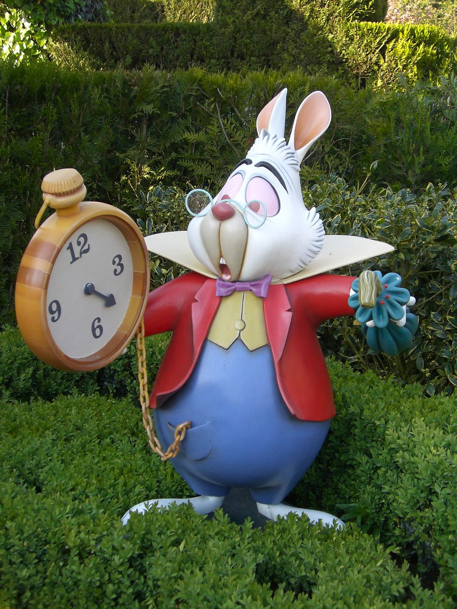 mcnaughtanrules's tweet photo. White Rabbit - ‘I’m late, I’m late for a very important date!!’  Actually you are not too late! There is still time today to make a final contribution to my Crowdfunder Page. https:/tinyurl.com/KeepBobOnTheRoad. Any donation, large or small would be gratefully received. Thanks. https://t.co/QSJ9nB77iV