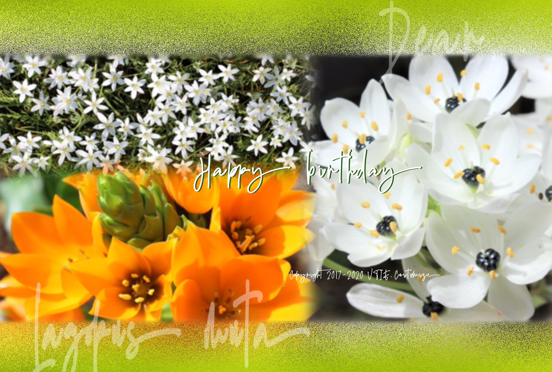 オーニソガラム ウンベラタム Twitter Search Twitter