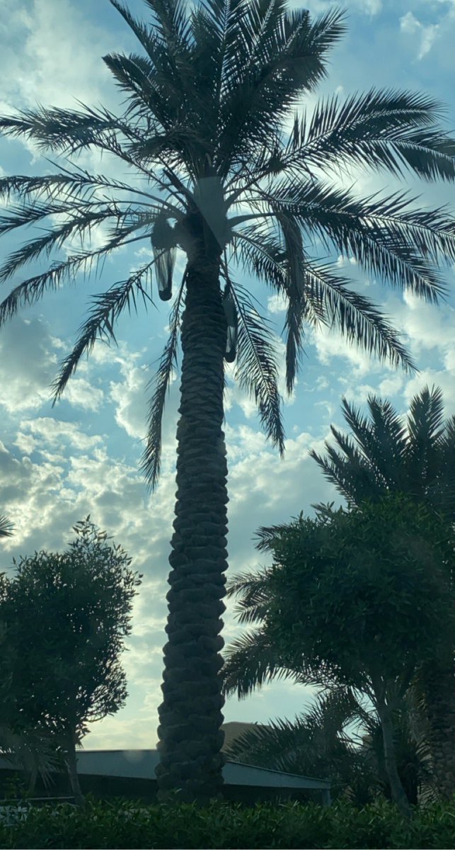 الغيم على سمَانا مسيَر ♥️'