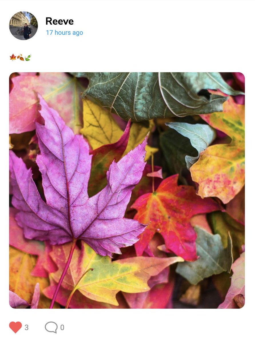 Amazing autumn photo by <a href="/reevenflow/">Reeve</a> on #Relica 🍁🍂