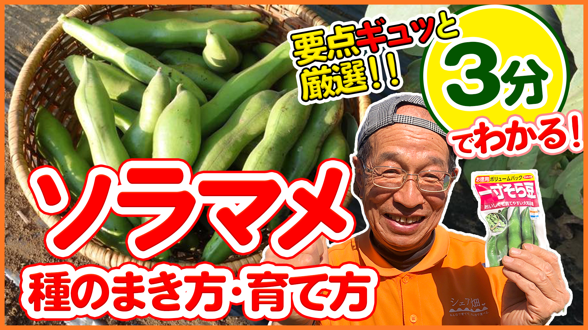 シェア畑 サポート付き貸し農園 Al Twitter 今回は そら豆の植え付け 管理 虫害対策の要点を3分にギュッと凝縮してご紹介します 実際に長年栽培をやっているアドバイザーならではの秘訣も伝授 T Co Nbka3vimo2 農園 家庭菜園 ソラマメ 防虫