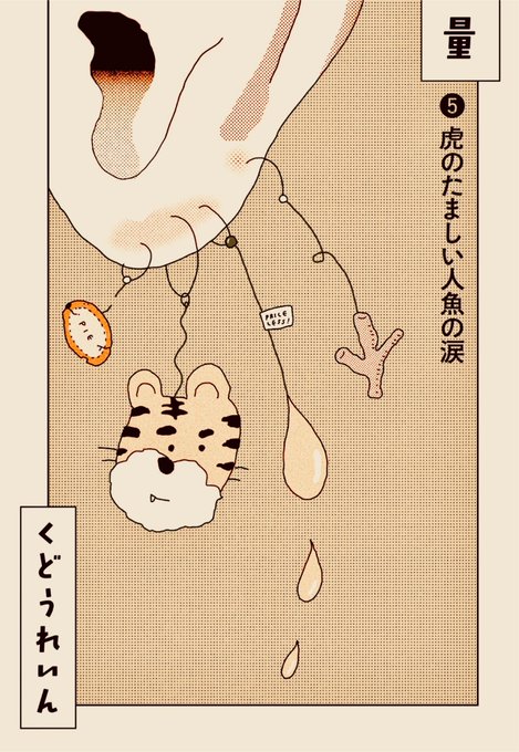 群像12月号、くどうれいんさんの日々是目分量 第5回目は琥珀のピアスのお話しです。耳に様々な想いをぶら下げたイラストにしてみました。2枚目はおまけで描いた涙型のトラのピアスです? 