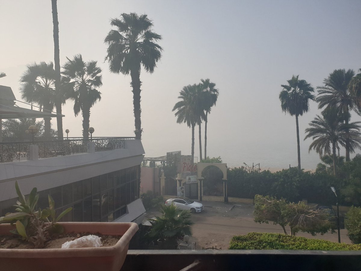 archaeo_Kim's tweet photo. Quite foggy this morning. Still a good place for coffee.
I've paused my #personalwriting in the past months. Because I was depressed #mentalhealth. I'm starting to feel like I'm building myself again. I have the desire to continue writing my first children's book. #Hope4everyone https://t.co/WEYWFtU2Wv
