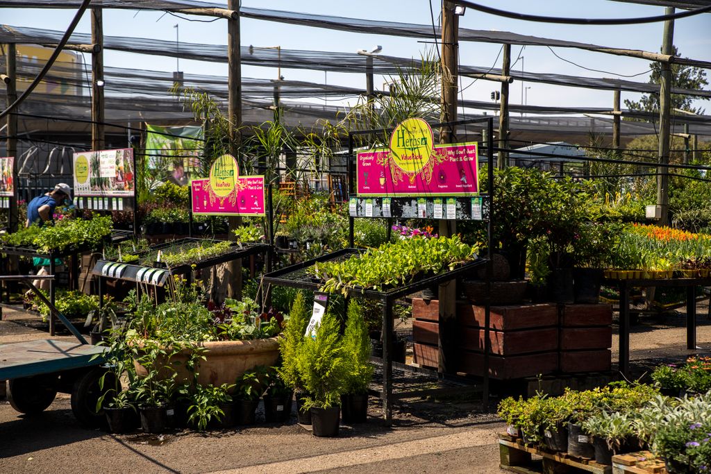 Eastgateshops's tweet image. There’s nothing quite like a garden overflowing with gorgeous flowers and a paradise-status pool in summer 🌼 Head to @micahardware for all your home and garden improvement needs and get ready for some al fresco bliss!

#IconicEastgate #CreateTomorrow #CreateTomorrowToday