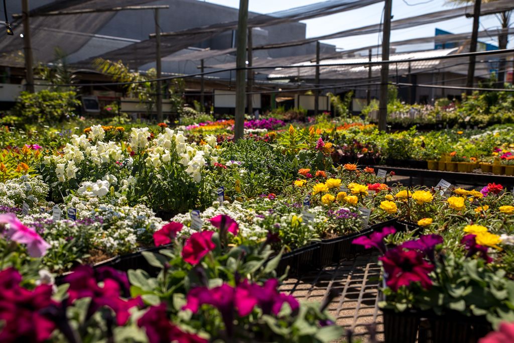 Eastgateshops's tweet image. There’s nothing quite like a garden overflowing with gorgeous flowers and a paradise-status pool in summer 🌼 Head to @micahardware for all your home and garden improvement needs and get ready for some al fresco bliss!

#IconicEastgate #CreateTomorrow #CreateTomorrowToday