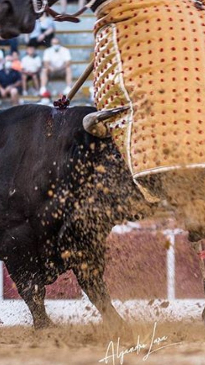 Manuel Vélez tweet media