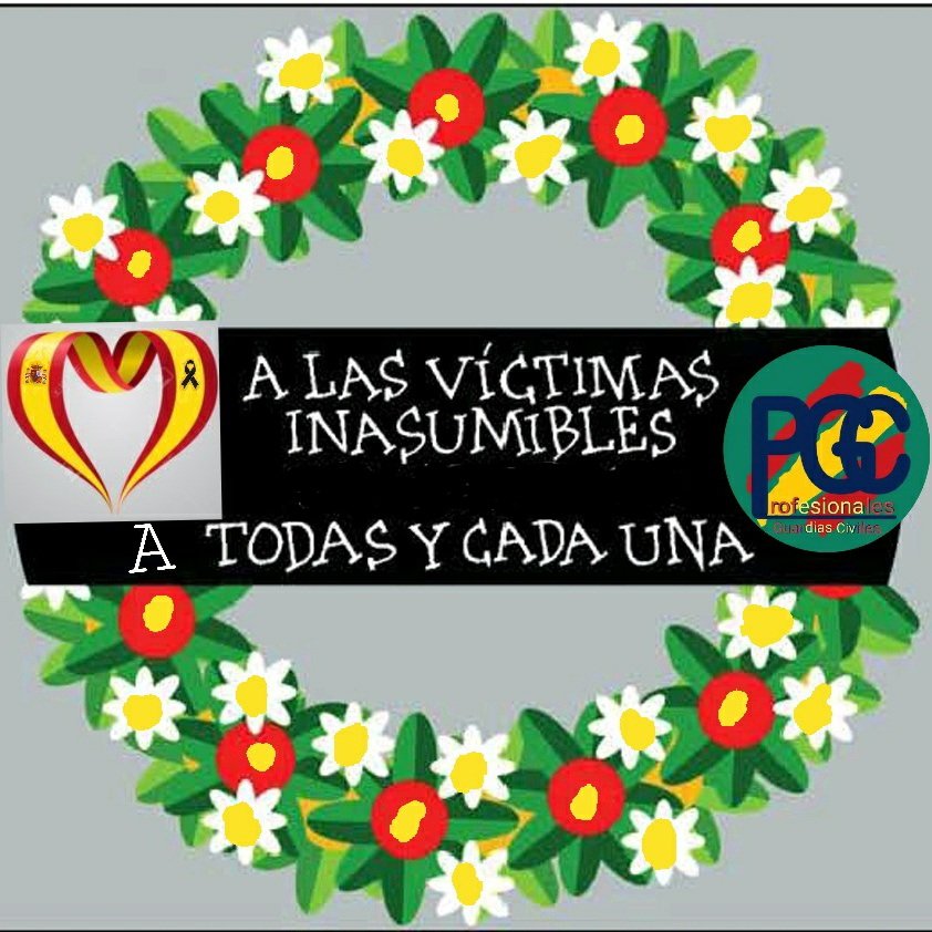 PGC062's tweet photo. Nuestro más sentido pesame, por la muerte de nuestra compañera Capitan de la Guardia Civil V.M.V. La muerte no es el final. No hay consuelo para el que ha de seguir camino sin sus abrazos, familia, amigos y compañeros.
#profesionalesgc
#TodoPorLosGuardiasCiviles
@PGC062 https://t.co/QvvkEkwCHE