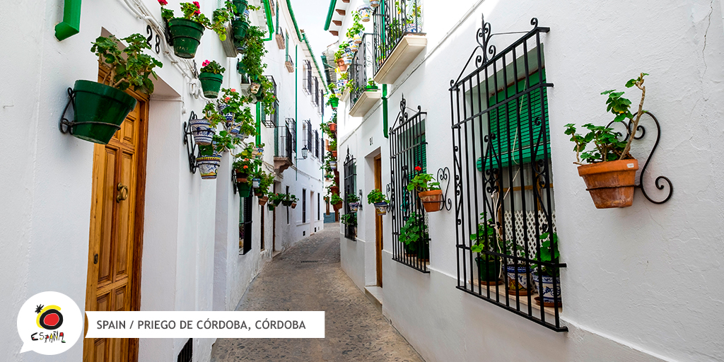  The town  #PriegoDeCórdoba is specially charming. The reason? Maybe it's the medieval castle, or the beautiful fountains, or maybe it's that set of narrow cobbled streets with whitewashed façades where one wants to stay forever.   https://bit.ly/2TclRGC 