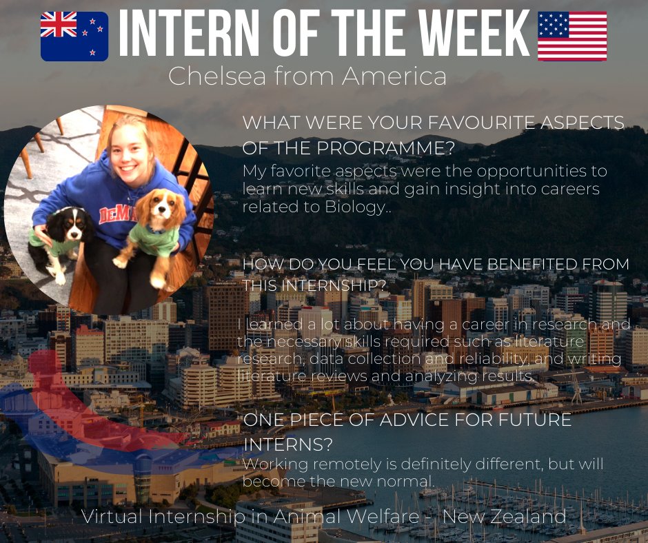 intern_nzoz's tweet photo. Meet Chelsea our intern of the week. She completed her Virtual Internship in Animal Welfare with a New Zealand based company. Have a read of her experience on Virtual internships and their benefits. Thank you for sharing with us Chelsea 🙂#internnz #internoz #createyourfurture https://t.co/MCYvduj2um