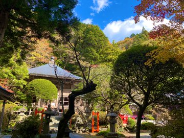 柳津虚空蔵尊 宮城 の御朱印に アマビエ様 が新登場 お寺カフェ夢想庵の仙台麩パフェはおみくじ付き 宮城 子連れおでかけログ