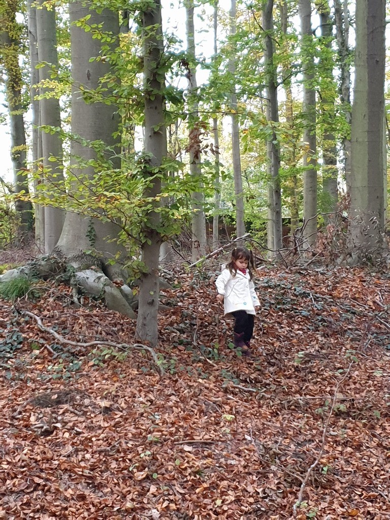 BSB_EarlyYears's tweet photo. Our outdoor maths challenge in KG has causes lots of talk about 5, with some needing The Stick Man to give a helping hand. #stickman #bsblife #continuouslearningprovision https://t.co/ECmKSUZSMl