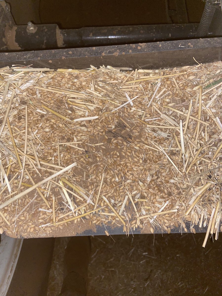 Tim Larwood 🇦🇺 tweet media