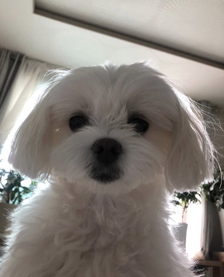 giraffehappyy's tweet photo. 𝙥𝙚𝙚𝙠 𝙖 𝙗𝙤𝙤 ! 🧸🧼🎈💖 https://t.co/Tv0YrGat90
