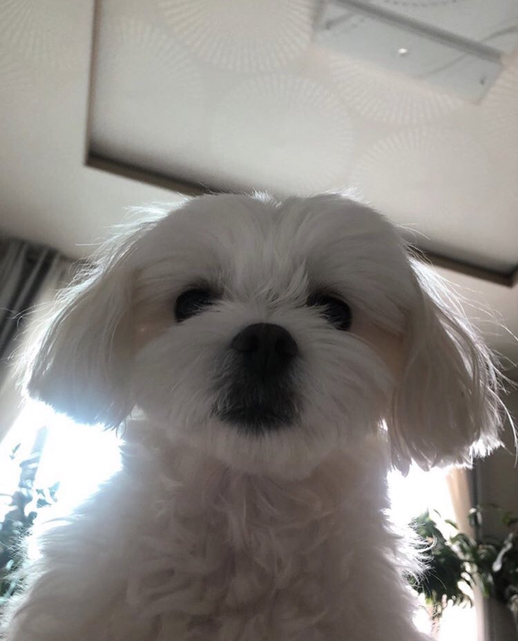 giraffehappyy's tweet photo. 𝙥𝙚𝙚𝙠 𝙖 𝙗𝙤𝙤 ! 🧸🧼🎈💖 https://t.co/Tv0YrGat90