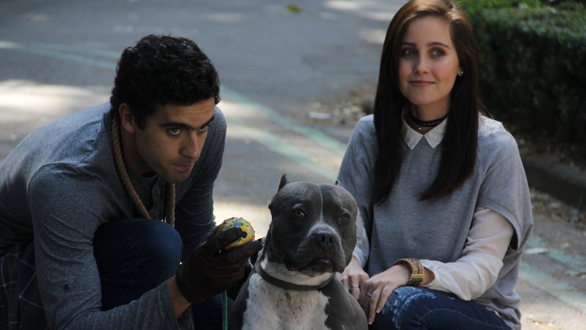 Para conquistar a Luis (<a href="/JPMinor/">jose pablo minor</a>), primero Paula (<a href="/natdupeyron/">NATASHA DUPEYRON</a> ) deberá ganarse a su mejor amigo, ¿lo logrará?🤔.

No dejes de ver #PlanV disponible en @blim y @CinepolisKLIC.