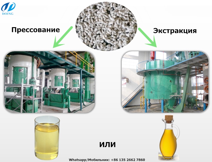 Экстракция масла подсолнечного. Экстракция масла растворителем. Экстрагирование растительного сырья. Получение растительных масел методом экстракции. Экстракция масла растворителем.