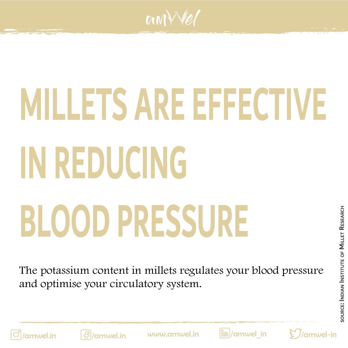 amwel_in's tweet photo. Millet is a grain that should also be included on your list of heart-healthy choices because of its status as a good source of magnesium. 

#diabetes #type #t #stroke #diabetestype #diabetic #health #d  #cancer #diet #covid #sop #insulin #darahtinggi #herbal #obatdiabetes #health https://t.co/hVrarUelQP