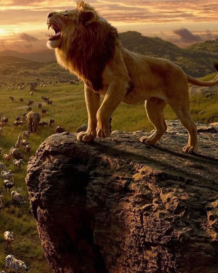 AlOps9's tweet photo. #خواطر
يا صديقي... 
من تربي في حظيرة الكلاب ، لن يصبح أسدا ولو أرضعته ألف لبؤه...!!! https://t.co/XuDLKzoBhD