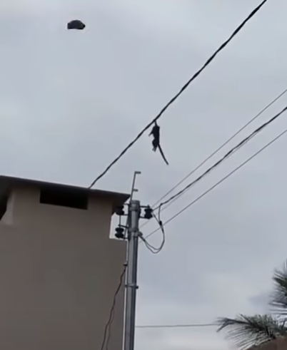 UMILD 🍩 tweet media