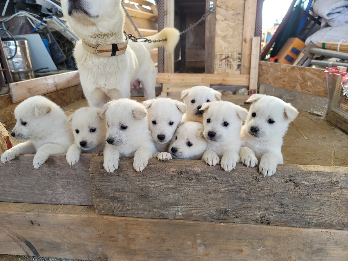 1마리 뿅!                                 3마리 뿅!
5마리 뿅!                                 8마리 뿅!