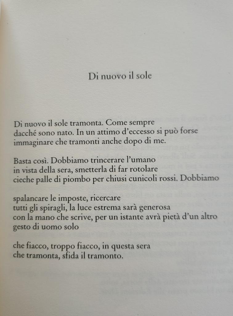Che la luce estrema sia generosa con te, maestro. 
Natan Zach.
<a href="/DonzelliEditore/">Donzelli Editore</a>