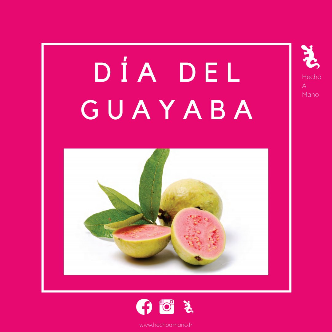HechoamanoFR's tweet photo. 🥳 Excellente raison de faire la fête : la goyave est fêté tous les ans à Calvillo, considérée comme la capitale de ce fruit traditionnel.
Des concours et rodéos sont organisés au cours de cette fête locale 😜

#mexique #goyave #fiesta #fete #evenement #culturemex #discovermexico https://t.co/5LzMCRH3Qq