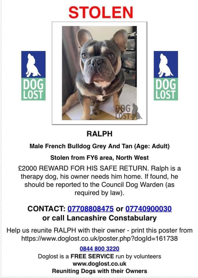 cleggy12's tweet photo. #findralph #ralph #therapydog #reward Β£2000 reward - no police - no questions - please just hand him back @mssocietyuk @DogsTrust @RSPCA_official @LancsPolice @Pleasure_Beach @SandcastleWater @JasonManford @BlackpoolFC @PoultonLeFylde @RealPOGDogs @GMB @thismorning @BBCLancashire https://t.co/ZndXBfacnm