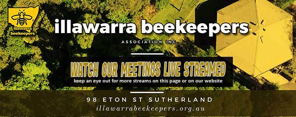 NOV 2020 News | LIVE STREAM Meeting Pollination - mailchi.mp/9b0ca2d1fdb8/u…