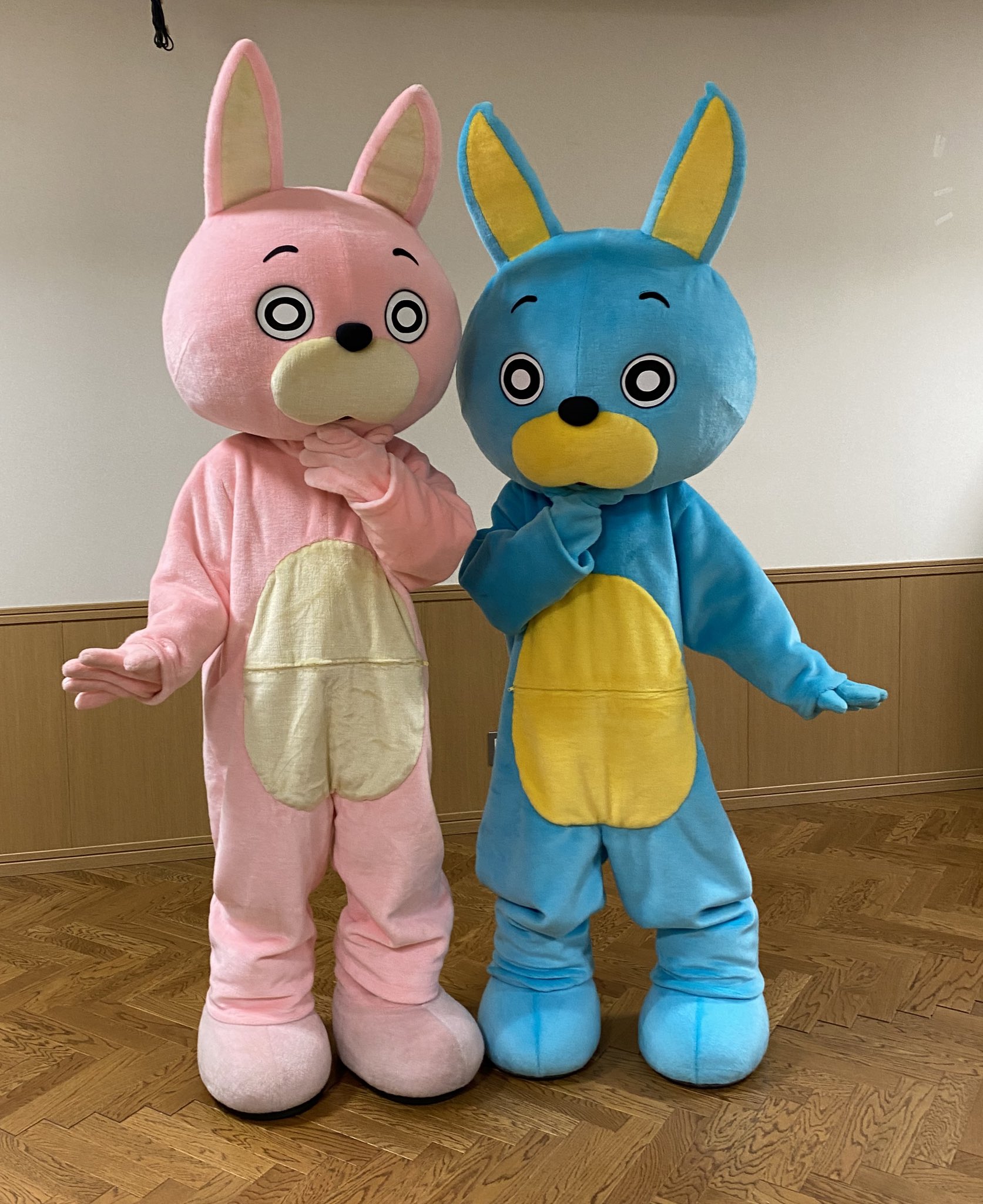 桃色ウサヒ Ar Twitter ふたりはウサキャラ ゆるキャラ プリキュア