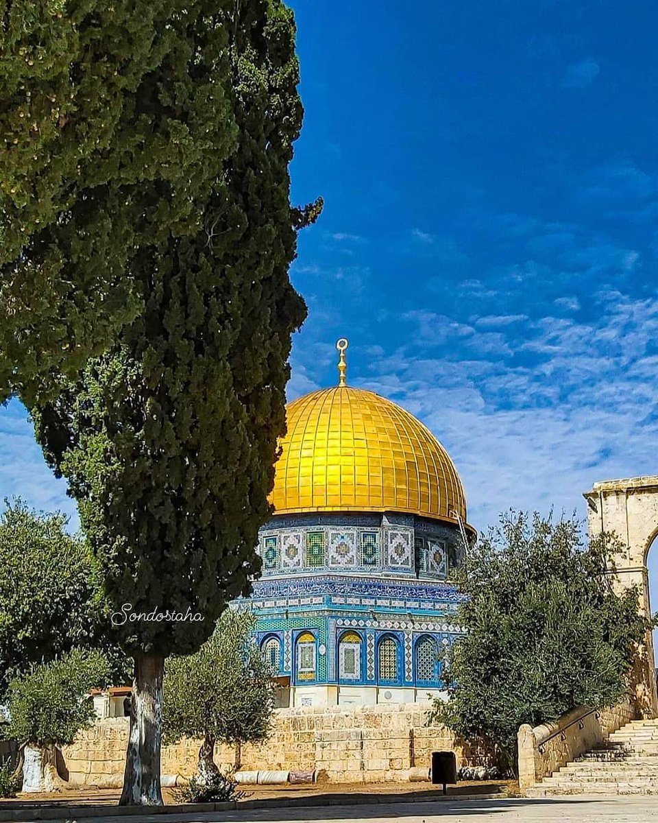 MuhammadSmiry's tweet photo. Good morning from the capital of Palestine https://t.co/swaqvC0dVl