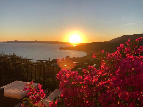 FabianFrydman's tweet photo. Un petit détour par la #plage #Capnegre #LeLavandou

#Tourisme #Tourism #Travel  #BaladeSympa #CotedAzurFrance #Beach #mer #MyLavandou #Var83 #balade

@Initialesgg @LavergneEugenie  
@MKHardyPhoto @VSimon1985 @JeannetteCeja @OTLAVANDOU @MairieLavandou @jmlpyt @debleu_devert https://t.co/aOMCZ2u5N4