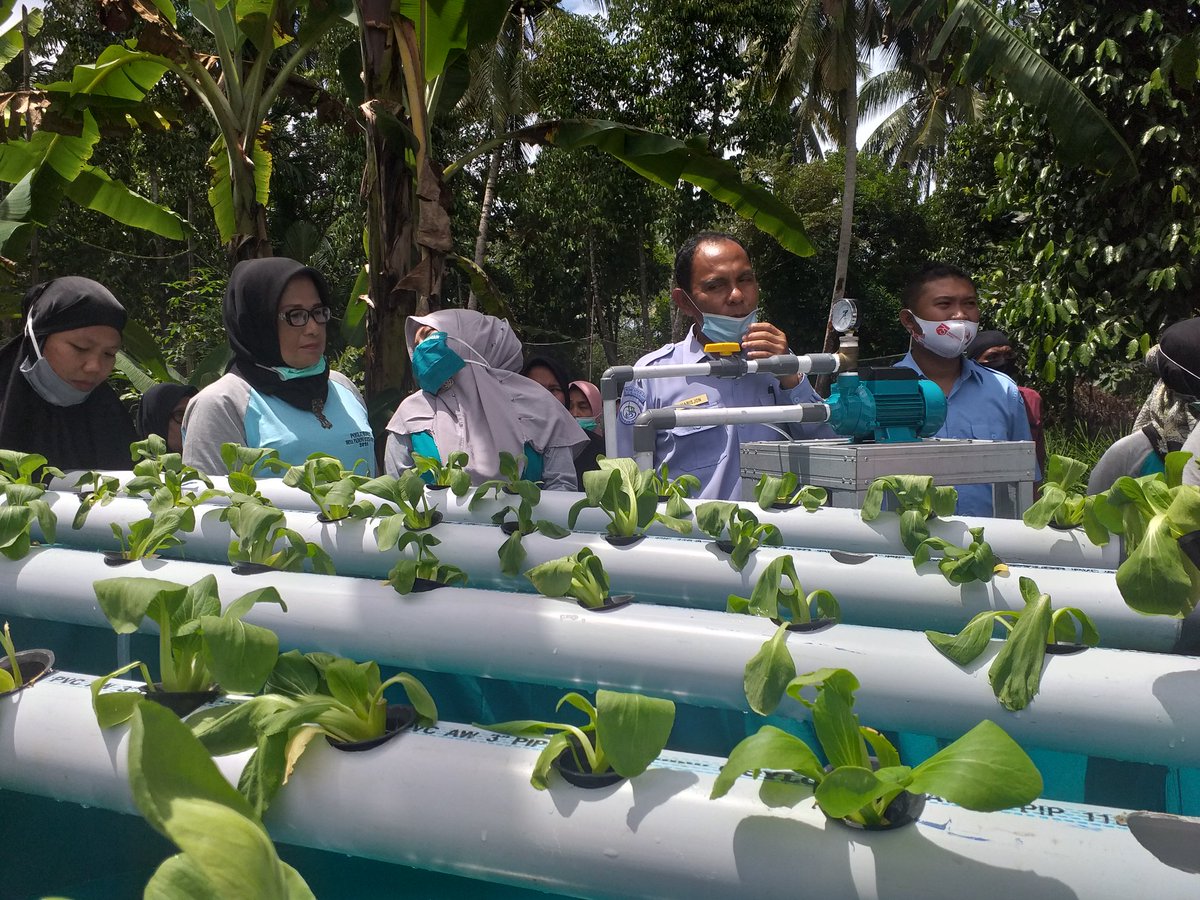 PoltekKPPrm's tweet photo. Pengabdian Kepada Masyarakat Politeknik KP Pariaman,Prodi Ubdi dan Prodi PMK di Kelompok Wanita Tani di Desa Birik-Birik Kota Pariaman.
@kkpgoid @Edhy_Prabowo @brsdm_kp @BeritaKKP @supmpariaman @Pusdik_KP @ditjendikti https://t.co/xh0yT6kaH7