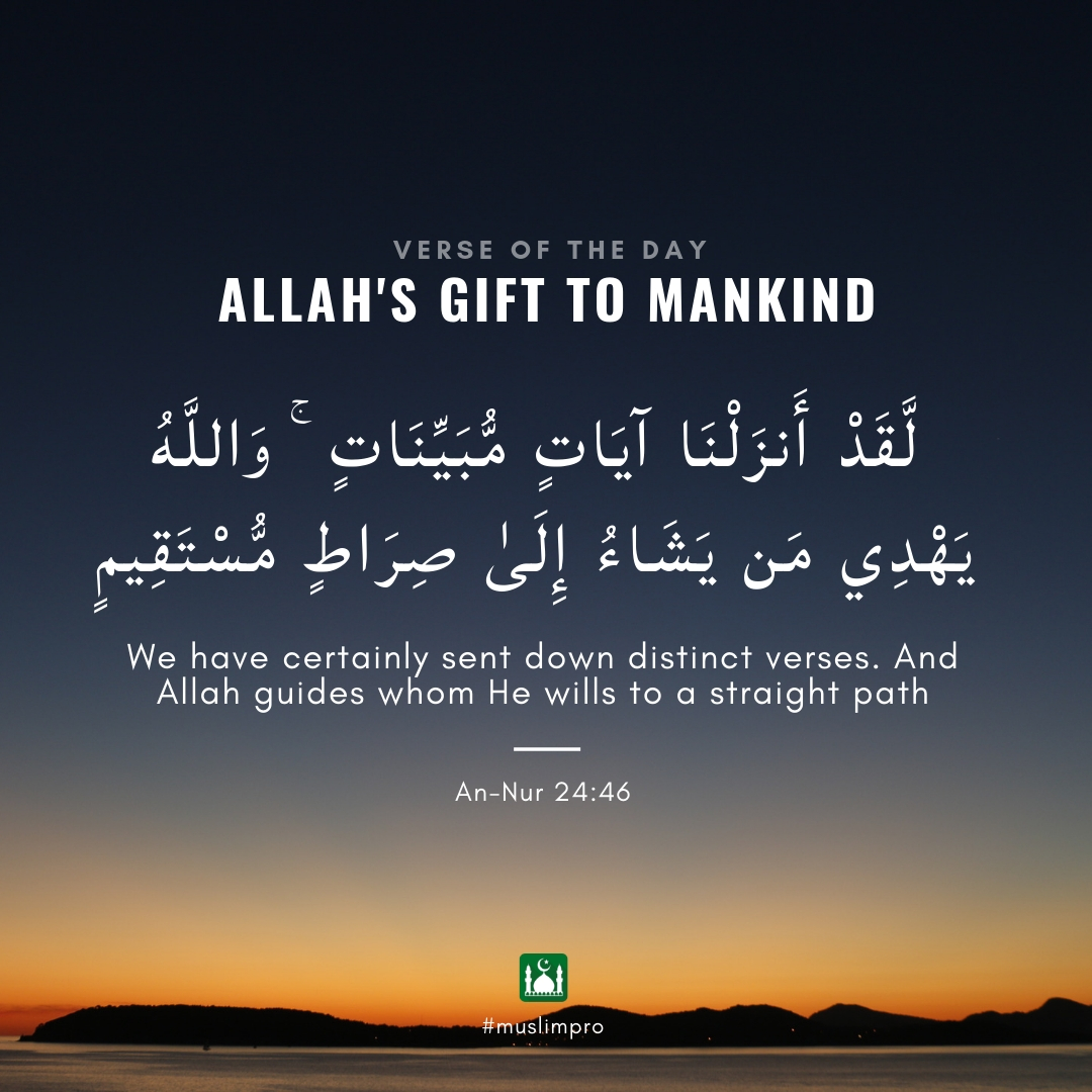 Muslim Pro App tweet media