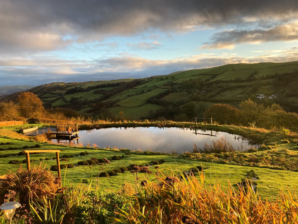 Good morning from our hilltop #autumn #wildswimming #field #hedgerow #lavenderfarm #powys #wales