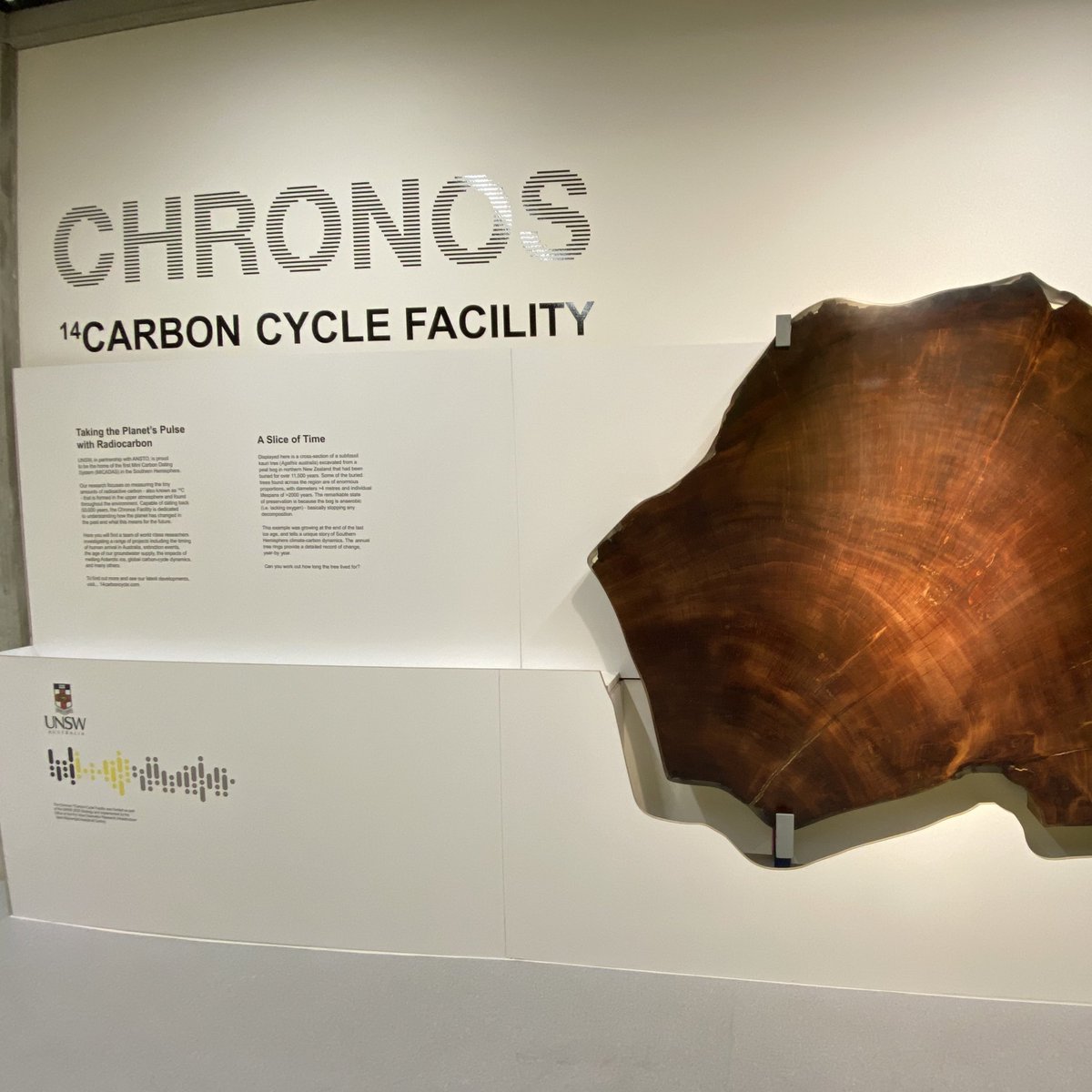 Prof Emma L Johnston AO FAA FTSE tweet media