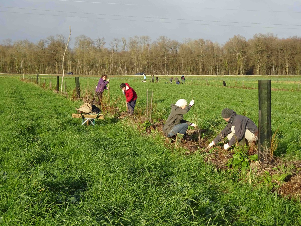 Agroforesterie's tweet photo. La saison des plantations agroforestières va commencer ! L'occasion d'un petit rappel de principes pour une plantation réussie. Article @agroforesterie paru dans "Abeilles et Fleurs" (@UNAFapiculture ) en février 2018.
https://t.co/UhjgjCwxtI https://t.co/lEuNRiCOp8