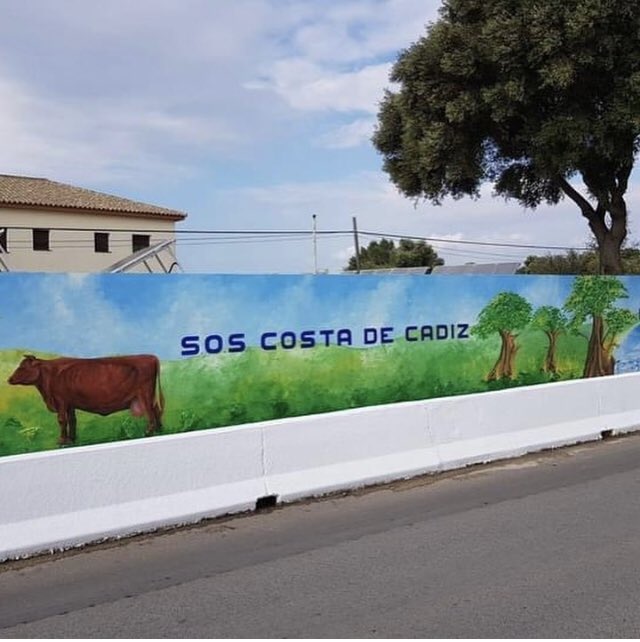 ECO_AGADEN's tweet photo. Gracias a Toni Gabarre por esta obra de arte. SOSCOSTADECÁDIZ #salvemosmangueta #cádiz #especulación #stopladrillo #playassaludables https://t.co/4nuyAorknV