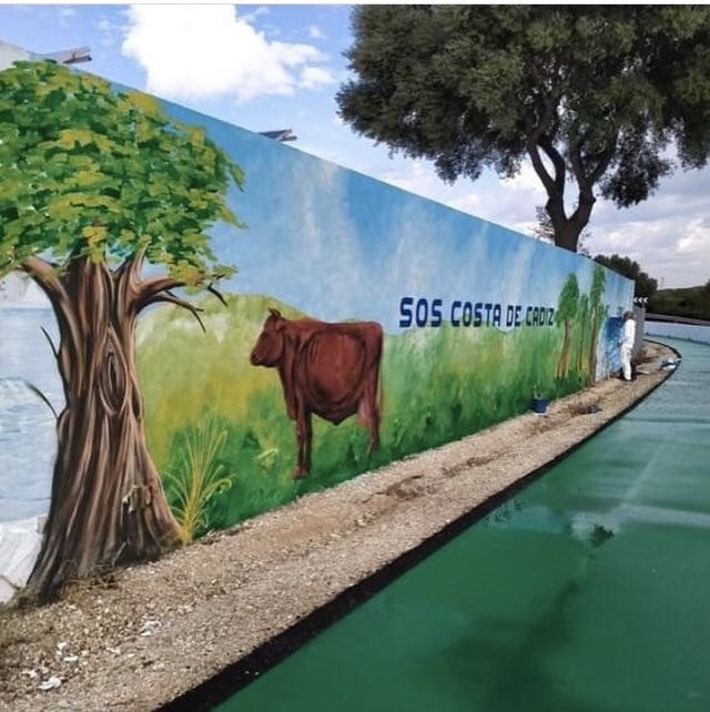 ECO_AGADEN's tweet photo. Gracias a Toni Gabarre por esta obra de arte. SOSCOSTADECÁDIZ #salvemosmangueta #cádiz #especulación #stopladrillo #playassaludables https://t.co/4nuyAorknV