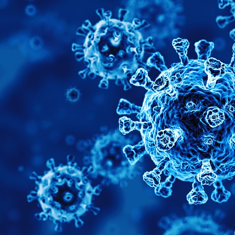 youtube.com/c/ConspiracyCl…

How deadly is Covid 19 compared to other pandemics through history?

6:15pm Sunday Conspiracy Class will have the answer.

Go subscribe to the channel not to miss out

#COVID #facts #pandemic #conspiracy