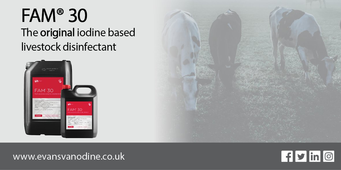 evansvanodine's tweet photo. Effective disinfectants capable of killing bacteria and viruses are essential in a successful livestock hygiene programme. Discover #FAM30 here: https://t.co/iqsxvEithb
#livestock #hygiene #biosecurity #dairy #poultry #farming #ukagriculture #agriculture #avianflu #ukfarming https://t.co/mXXSti5bIL