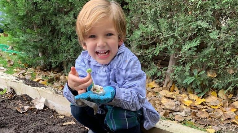 TrinityCollege1's tweet photo. Our Trinity Garden #Project is underway! We have learnt how to sow seeds and watch them turn into plants and now they are growing in our #TrinityGarden. π±π§π
#Schools #Education #Boadilla
#WeAreTrinityCollege π¦ https://t.co/ds9nkM3kpR
