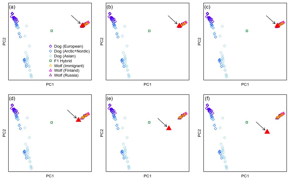 ...which seems to be caused by drift and the high level of inbreeding in the Scandinavian population. Keeping only the founder/f.offspring, they cluster with Finnish/RussianKarelian wolves, pointing to the origin of the Scandianvian pop.
