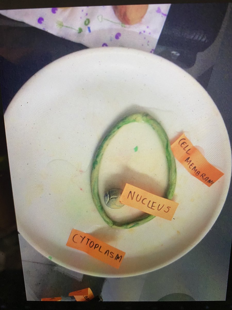 sneh_wadhwaney's tweet photo. A terrific learning experience to watch the Yr 7 science lesson today. Students made a plant cell using dough and labelled it with flashcards! Now, this is teaching for stickability! #collaboration #learningformastery #stickability #HQTL #learningonline #engagement @TBS_Delhi https://t.co/mGNvbkgjyw
