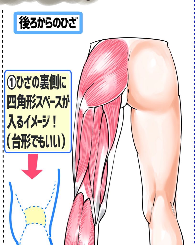 《本日17時に新作公開✨》

【女性版??】の「足とひざの描き方」をファンボックスで【先行公開】します‼️✨

『男性&amp;女性の綺麗な足が描けない…』
という人はかなり上達できる内容になってます☺️

よろしければ登録してみてください‼️ 