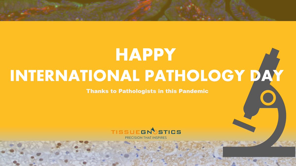 TissueGnostics's tweet photo. #InternationalPathologyDay is an annual awareness day dedicated to highlighting the fundamental role of pathology in the healthcare community and in the lives of everyone.

Thanks all pathologists, 
HAPPY INTERNATIONAL PATHOLOGY DAY!!!

#TissueCytometry  #FromImageToAnalysis https://t.co/KfkXGWSIrb